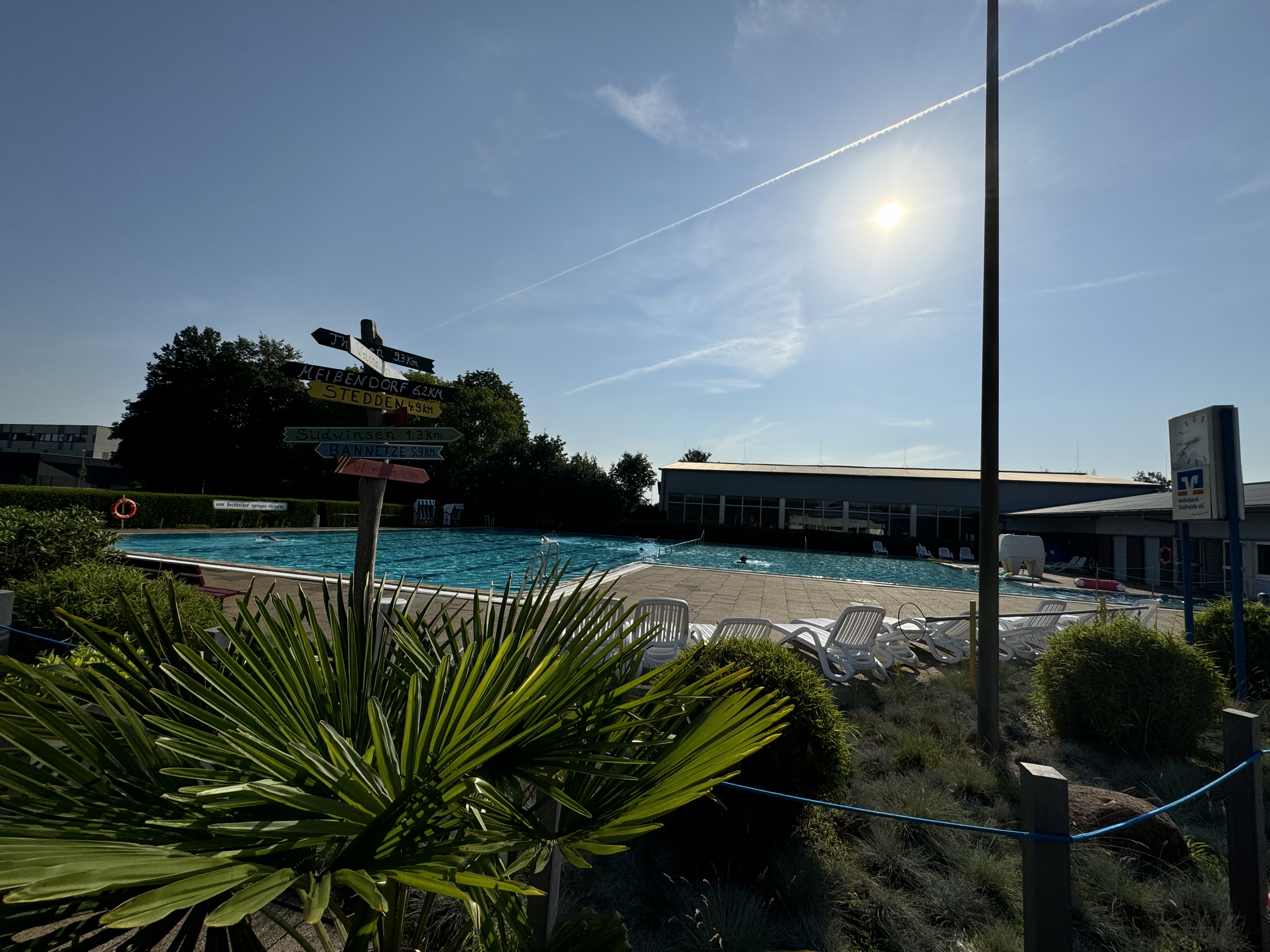 Sonniges Freibad mit Palmen im Vordergrund, Liegen und Hinweisschildern am Beckenrand.