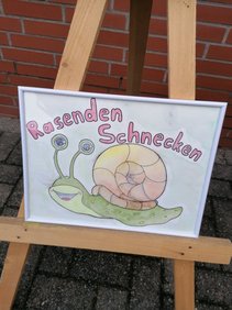 Bild einer Schnecke mit Regenbogenhaus und dem Schriftzug "Rasende Schnecken".