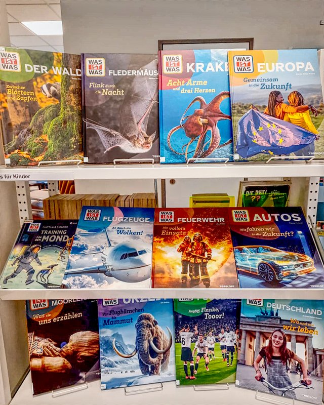 Bunte Sachbücherreihen für Kinder ab 8 Jahren stehen in einer Bücherei. Themen sind u.a. Weltraum, Tiere, Geschichte und Sport.