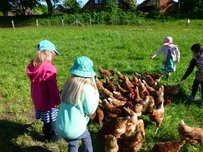 Kinder mit bunten Hüten füttern Hühner auf einer grünen Wiese.
