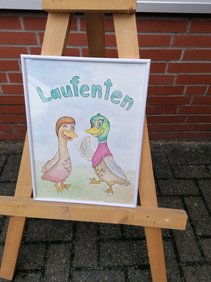 Bild von zwei Enten mit Kleidung und dem Schriftzug "Laufenten".