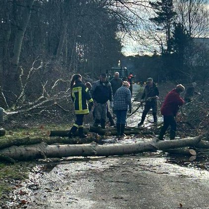 Helfer beseitigen umgestürzte Bäume auf einer Straße.