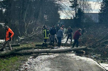 Helfer beseitigen umgestürzte Bäume auf einer Straße.
