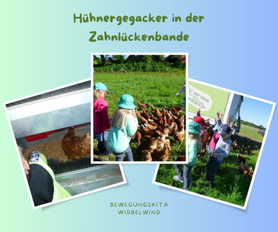 Text: "Hühnergegacker in der Zahnlückenbande, Bewegungskita Wirbelwind". Bilder: Kinder füttern Hühner auf einer Wiese.