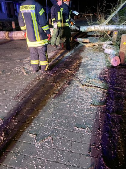 Feuerwehrleute bei Nacht neben einem umgestürzten Baum auf einem Gehweg.