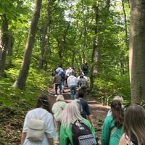 Gruppe von Menschen wandert auf einem Waldweg bergauf.