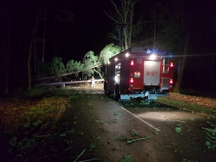 Feuerwehrfahrzeug bei Nacht vor einem umgestürzten Baum auf einer Straße im Wald.