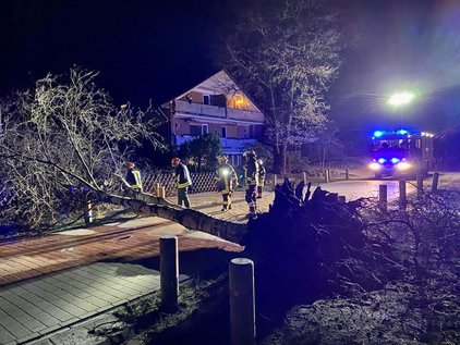 Feuerwehrleute bei Nacht entfernen einen umgestürzten Baum vor einem beleuchteten Gebäude.