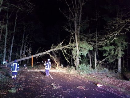 Feuerwehrleute bei Nacht, die einen umgestürzten Baum von einer Straße im Wald entfernen.