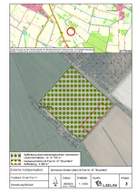 Externe Kompensation Bröckel