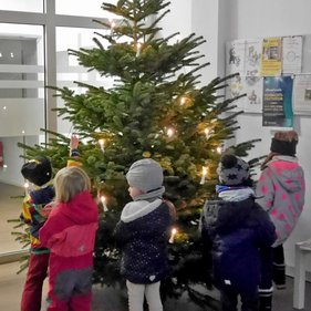 Baumschmuck 2023 Gruppe von Kindern, die einen mit Lichterketten geschmückten Weihnachtsbaum betrachten. Die Kinder sind von hinten zu sehen und tragen Winterkleidung.