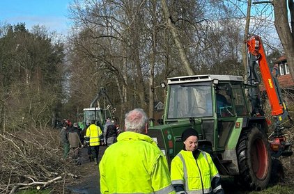 Baumschnitt auf dem Waldweg, mit Traktor und freiwilligen Helfern.