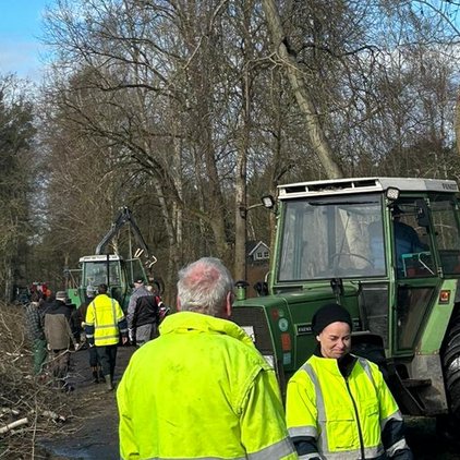 Baumschnitt auf dem Waldweg, mit Traktor und freiwilligen Helfern.