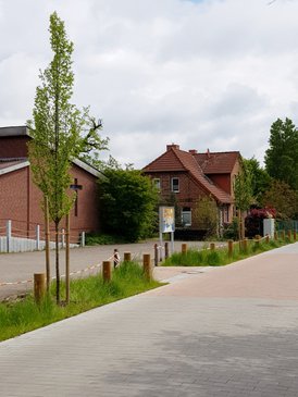 Neugepflanzte Bäume entlang eines Gehwegs, Häuser im Hintergrund unter bewölktem Himmel.