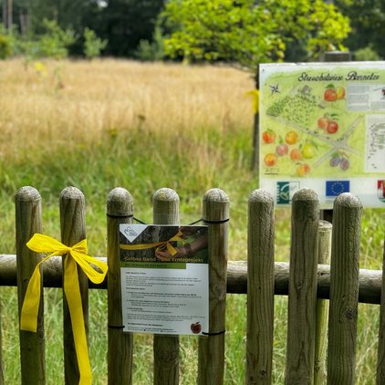 Das Gelbe Band Ein Holzzaun mit einer gelben Schleife und einem Schild mit Informationen zum "Gelben Band – Ernteprojekt". Im Hintergrund ist eine Streuobstwiese zu sehen.