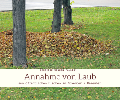 Themenbild zu „Annahme von Laub aus öffentlichen Flächen“.