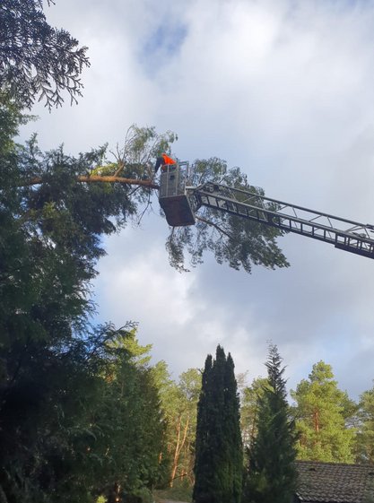 Einsatz der Feuerwehr Winsen (Aller) Drehleitereinsatz in Thören