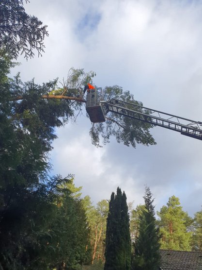 Einsatz der Feuerwehr Winsen (Aller) Drehleitereinsatz in Thören