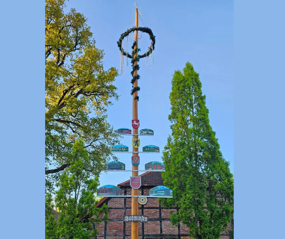 Bild des Maibaumes 